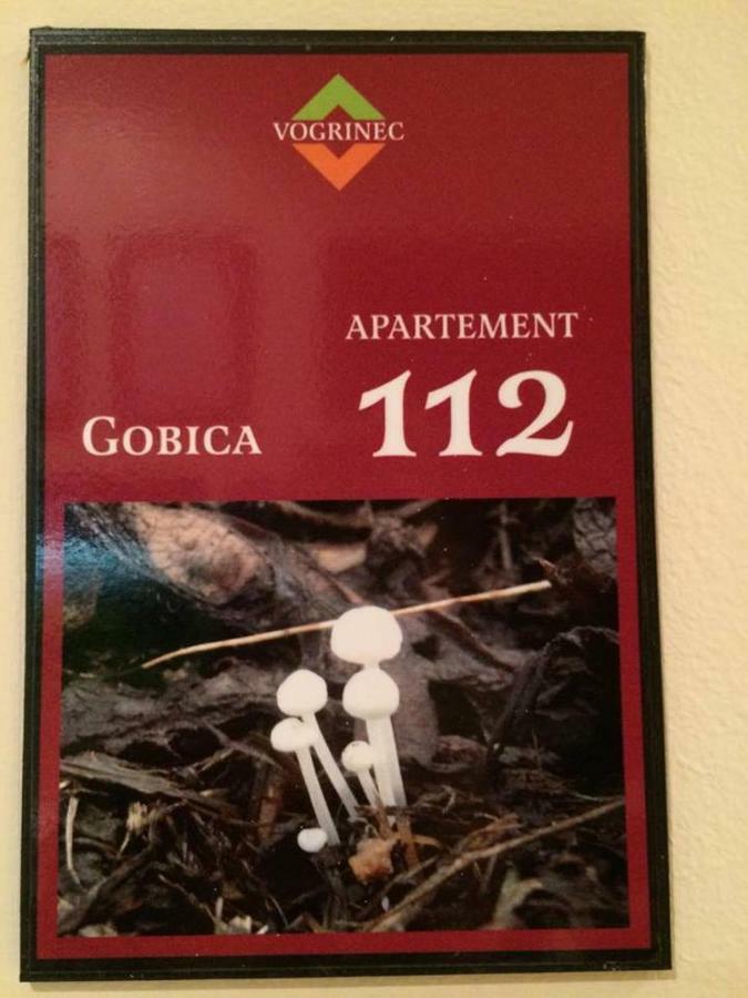 Apartments-Rooms Vogrinec Ptuj Zewnętrze zdjęcie